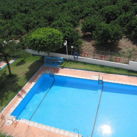 Las Palmeras 阿尔姆尼卡 外观 照片
