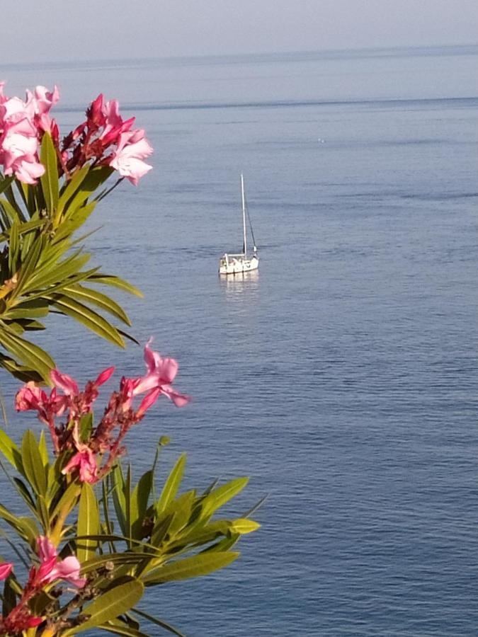 Las Palmeras 阿尔姆尼卡 外观 照片