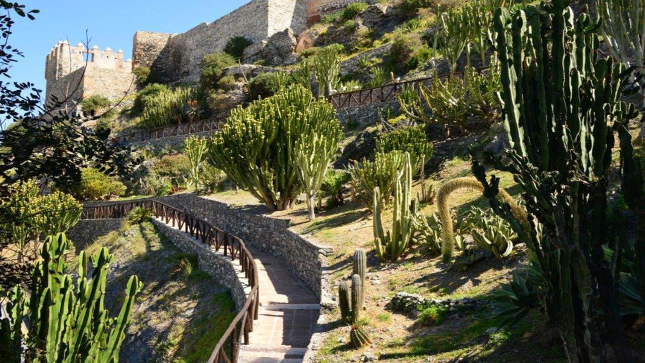 Las Palmeras 阿尔姆尼卡 外观 照片