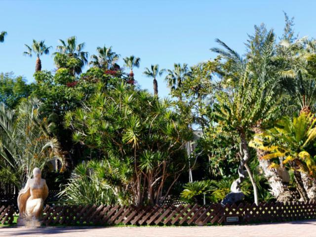 Las Palmeras 阿尔姆尼卡 外观 照片